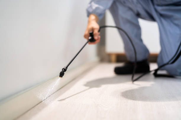 Licensed Mosquito Control service in Bargersville, IN - Show Me Pest Control