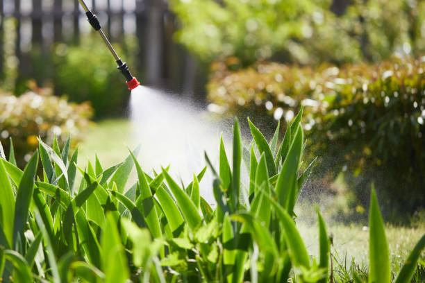 24/7 Emergency Mosquito Control experts in Bargersville, IN